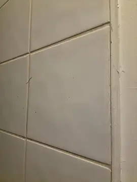 raen001 online show from November 6, 2025, 8:54 pm