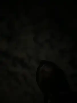 theone3121 online show from October 15, 2025, 11:43 am