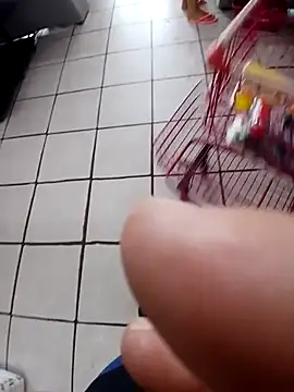 Snapshot of cicinha3657 chatting on February 20, 2026, 6:30 pm cicinha3657 online show from February 20, 2026, 6:30 pm