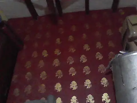 ursdreamperson online show from February 3, 2026, 5:05 am