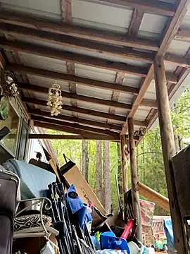 bb empress online show from October 7, 2025, 1:30 pm