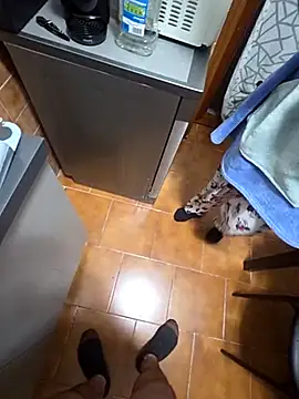 Snapshot of coppiaoraleee chatting on November 20, 2025, 1:06 am coppiaoraleee online show from November 20, 2025, 1:06 am