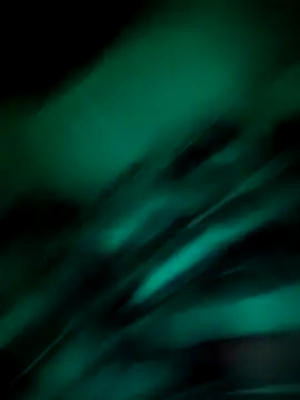 Junani2231 online show from November 12, 2025, 1:39 am