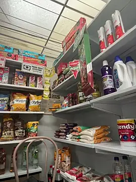 Sallem Pink online show from February 21, 2026, 11:22 am