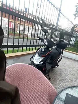 Sallem Pink online show from February 26, 2026, 11:20 am