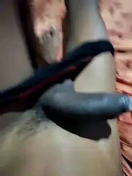 RAYI Queen 4 online show from February 19, 2026, 4:03 pm