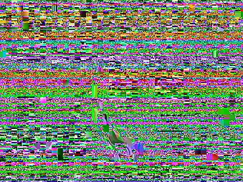 Dilfcam101 online show from March 25, 2026, 9:26 am