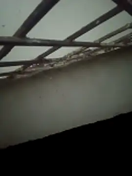 Daisygirl9 online show from October 22, 2025, 9:36 pm