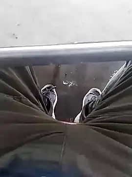 Snapshot of Aliyeni1 chatting on December 1, 2025, 9:25 am Aliyeni1 online show from December 1, 2025, 9:25 am