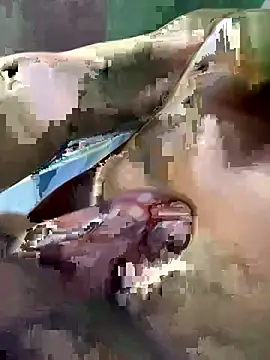 Huynh-duc-huy online show from February 5, 2026, 7:24 am