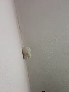 saranghae  online show from March 2, 2026, 3:09 am