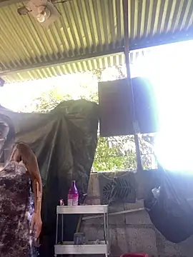 Snapshot of wildpussycat69 chatting on April 16, 2026, 1:39 am wildpussycat69 online show from April 16, 2026, 1:39 am