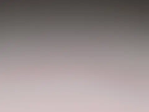 djcarey369159 online show from November 8, 2025, 8:29 pm