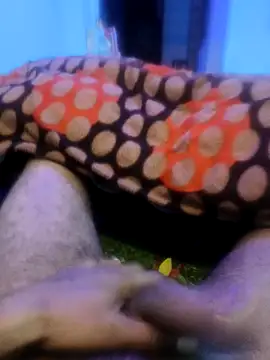 pppppp7811 online show from February 14, 2026, 5:43 pm