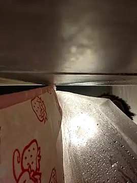 chocolate bella online show from February 22, 2026, 5:19 am