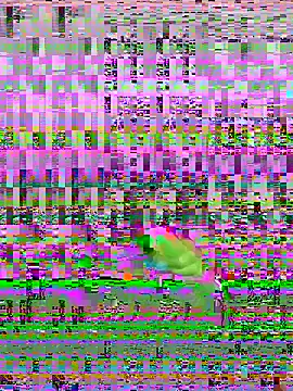 Snapshot of bihf_dam chatting on April 14, 2026, 8:48 pm bihf dam online show from April 14, 2026, 8:48 pm