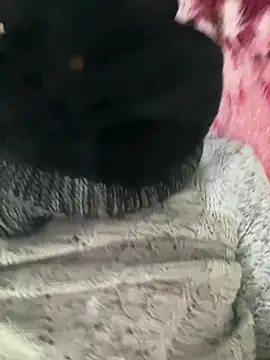 Yasar-Xxxl online show from February 12, 2026, 1:44 am