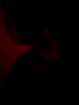 sarahkat86 online show from February 18, 2026, 12:45 pm