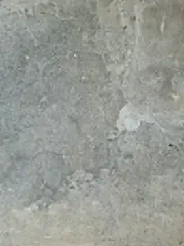 ngocngoc cute online show from February 24, 2026, 2:20 am