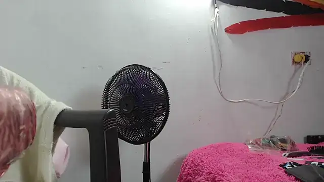 maggi hotsson online show from March 22, 2026, 6:28 am