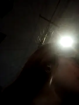  Alaskamisa online show from November 10, 2025, 1:15 am