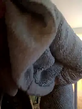 cameron334 online show from January 12, 2026, 12:10 pm