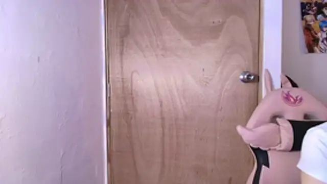 Terraelowen online show from February 19, 2026, 11:28 am