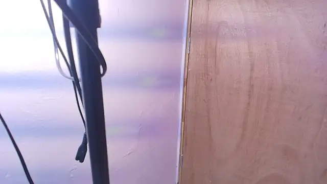 Terraelowen online show from February 24, 2026, 11:30 am