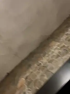 BrandonBlack online show from February 7, 2026, 12:25 am