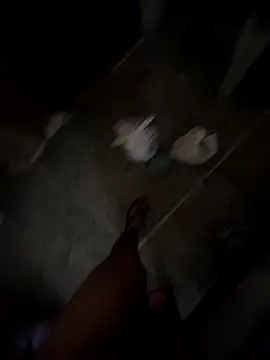 desir3dlund online show from April 28, 2026, 2:21 am