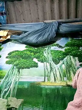 MaiHoa69 online show from November 15, 2025, 2:57 pm