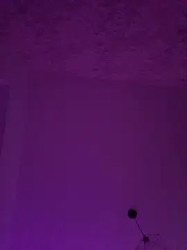 Lexi Storm online show from April 3, 2026, 4:54 am