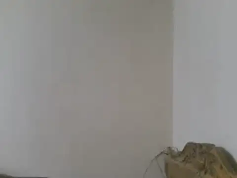 elpoop7305 online show from March 15, 2026, 8:48 pm