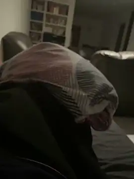 geilheit12 online show from February 11, 2026, 10:04 pm