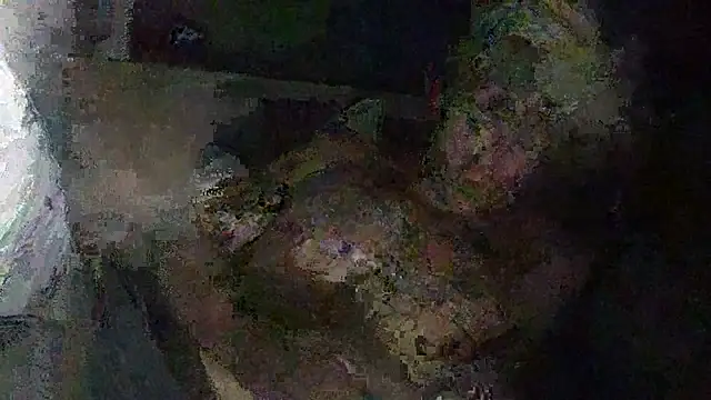 IsAparty online show from October 11, 2025, 5:28 am