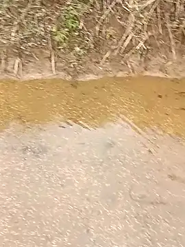 Snapshot of CoMay003 chatting on March 12, 2026, 5:35 am CoMay003 online show from March 12, 2026, 5:35 am