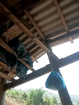 Snapshot of CoMay003 chatting on April 12, 2026, 4:50 am CoMay003 online show from April 12, 2026, 4:50 am