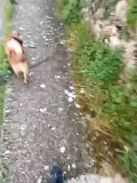 Axelitoc online show from April 16, 2026, 5:08 am