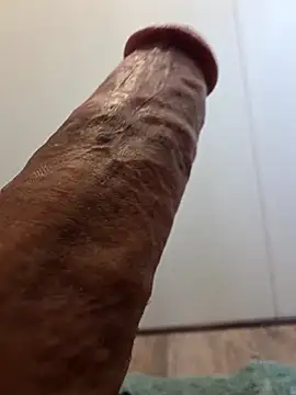 BooBooKittyFuhck online show from September 8, 2025, 11:26 pm