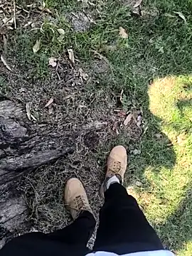 rajdehli online show from April 3, 2026, 6:00 am