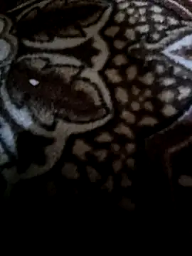 Snapshot of Lawrence067 chatting on February 11, 2026, 8:58 pm Lawrence067 online show from February 11, 2026, 8:58 pm