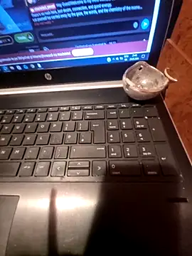 Snapshot of Lawrence067 chatting on March 24, 2026, 7:41 pm Lawrence067 online show from March 24, 2026, 7:41 pm