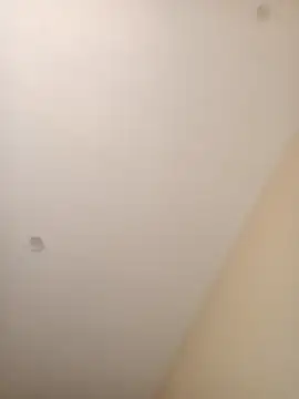 ElBufalo4l online show from November 4, 2025, 1:21 pm