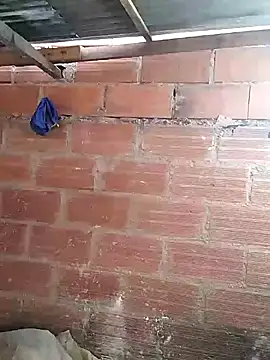 hoteder online show from March 7, 2026, 11:51 am