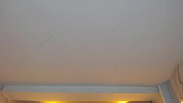 Snapshot of dania_b_ chatting on October 19, 2025, 3:07 am dania b online show from October 19, 2025, 3:07 am