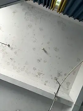 Snapshot of coco-o chatting on September 26, 2025, 3:10 am coco-o online show from September 26, 2025, 3:10 am