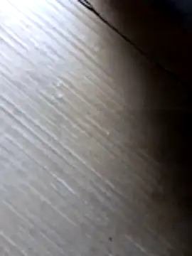 Snapshot of liza-212 chatting on October 10, 2025, 9:41 am liza-212 online show from October 10, 2025, 9:41 am