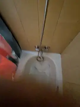 tonipit online show from December 14, 2025, 8:24 pm