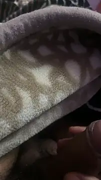 longfuckk online show from December 15, 2025, 4:11 pm