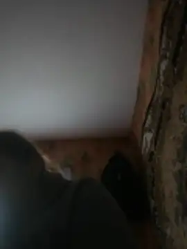 Romashka33011 online show from March 31, 2026, 8:15 am